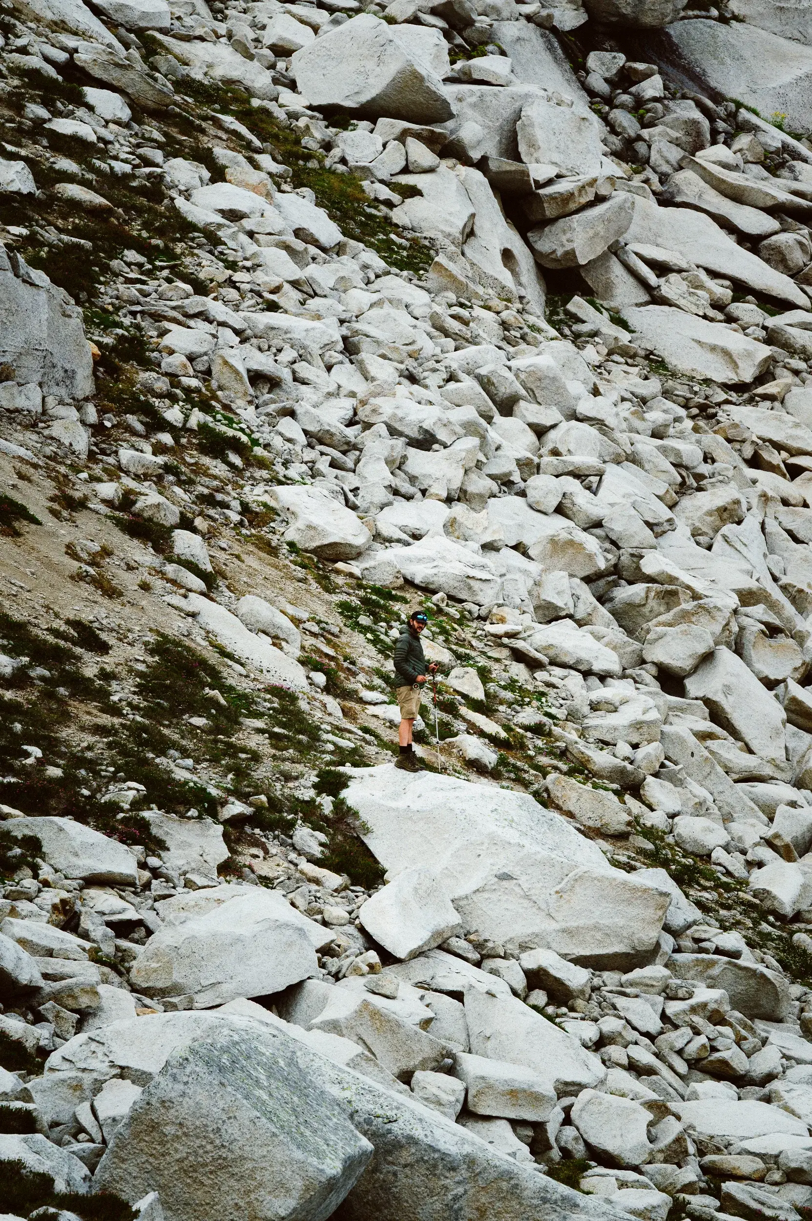 DSC_8778.webp