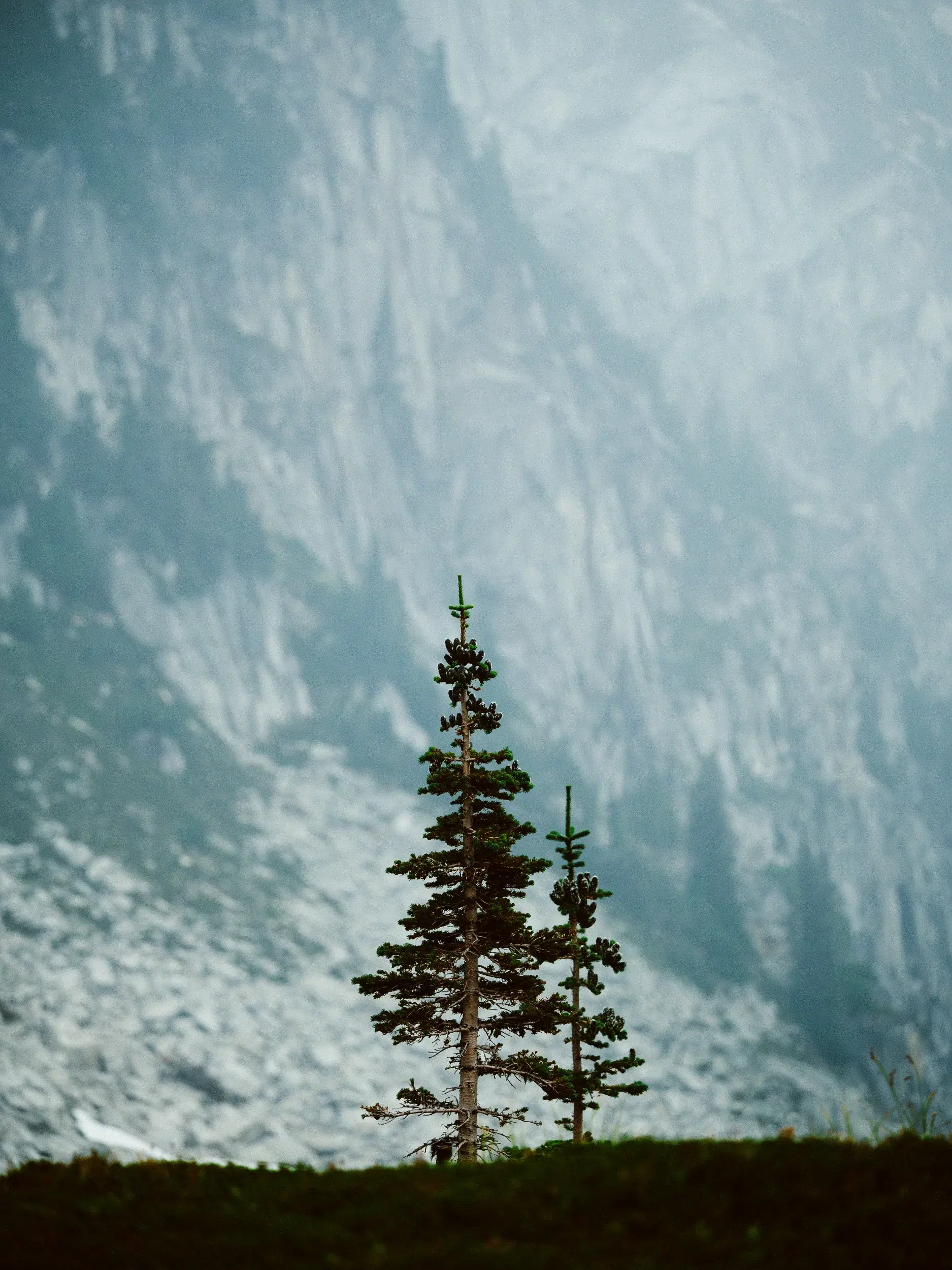 DSC_8967.webp