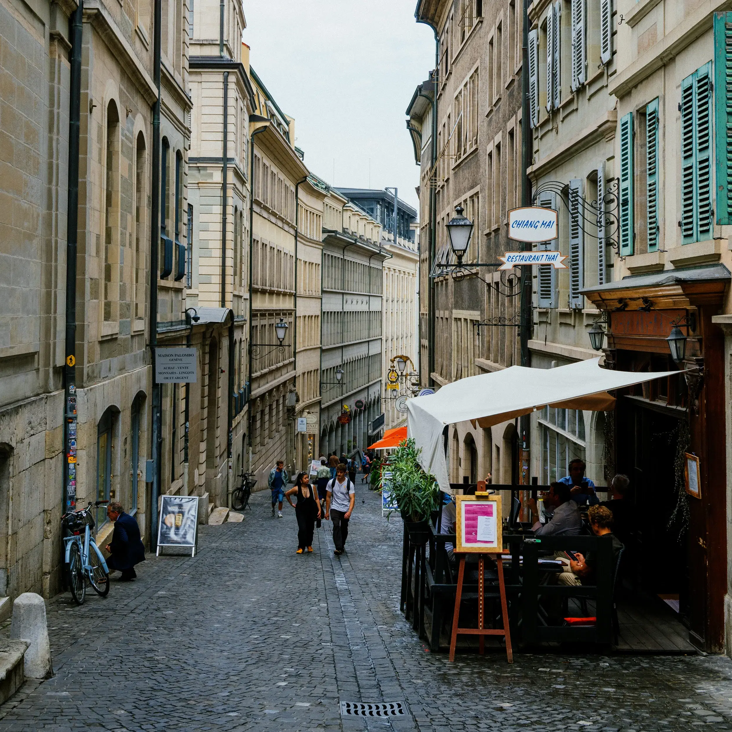 DSC_1206.webp