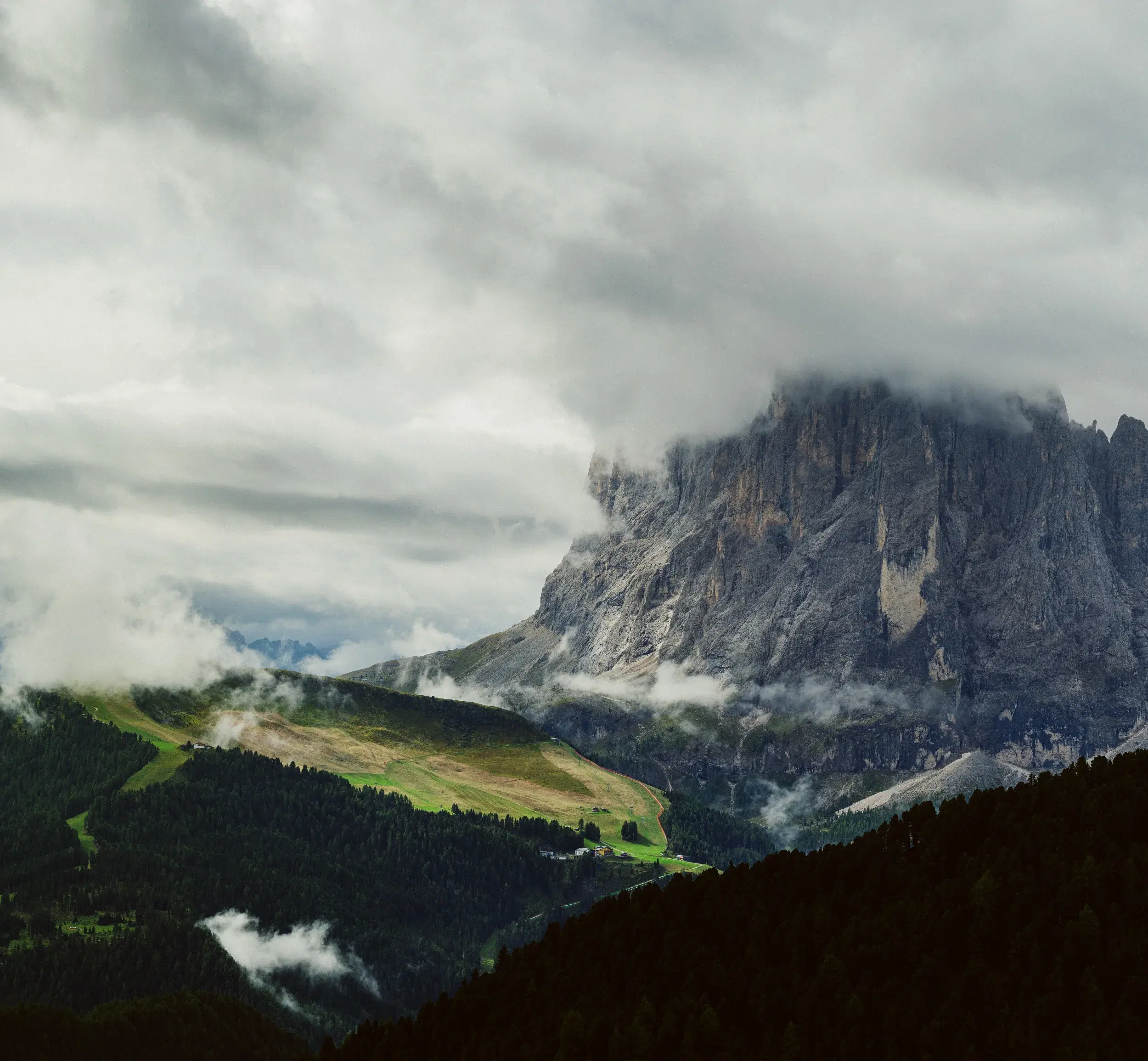 DSC_5031-Pano.webp