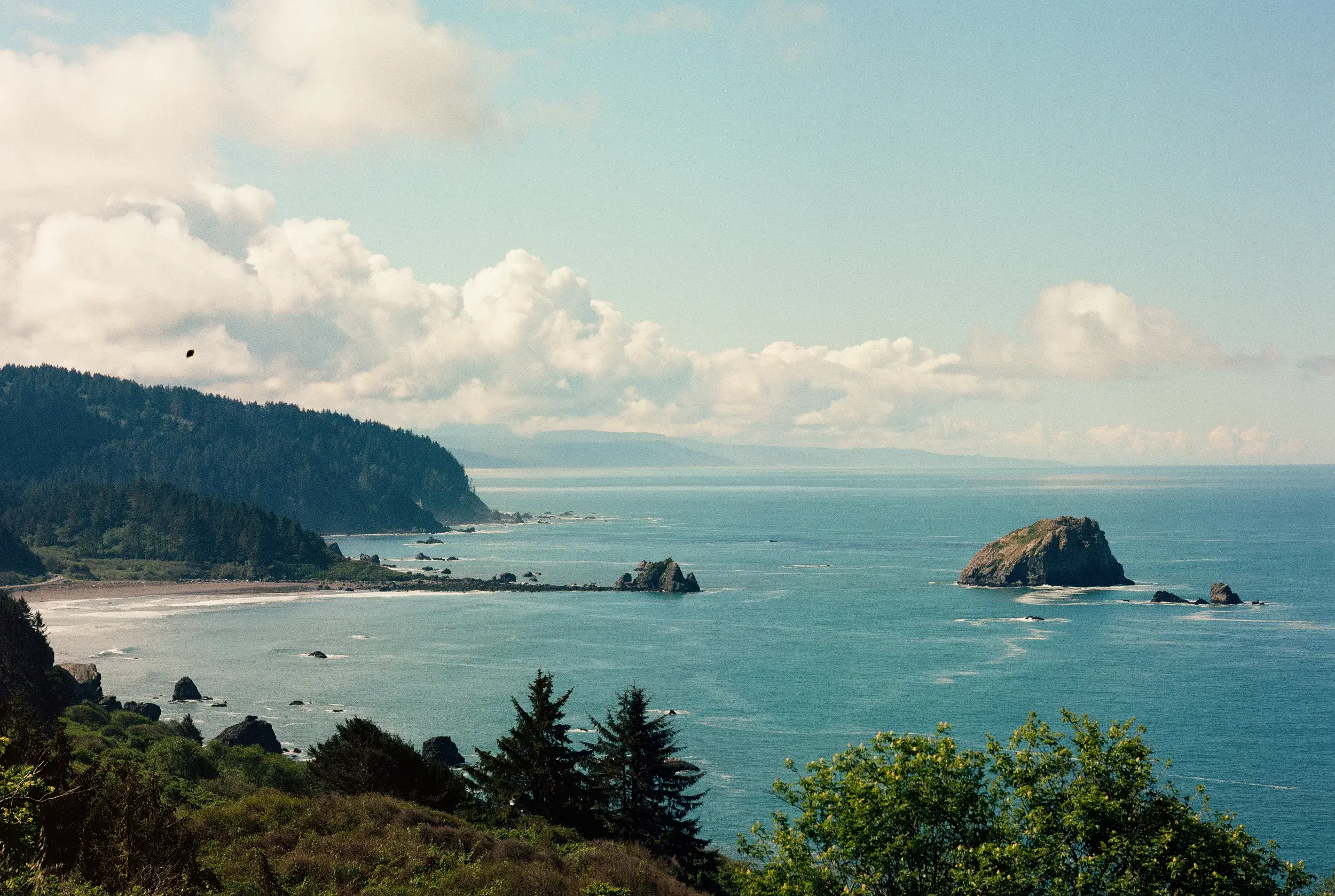 113994020001-2-Pano.webp
