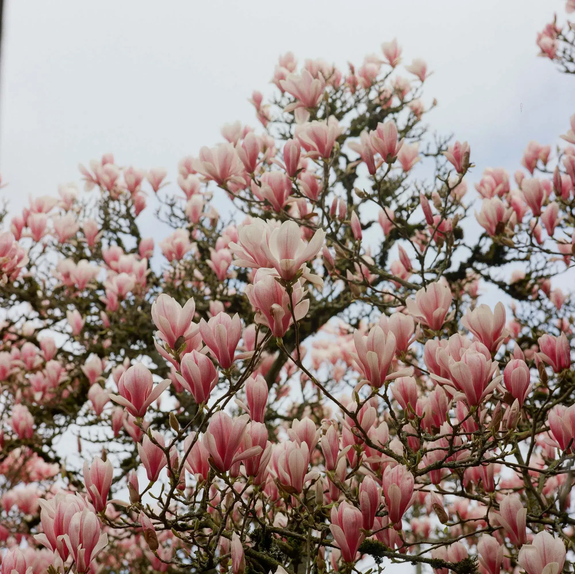 113994080004-2.webp